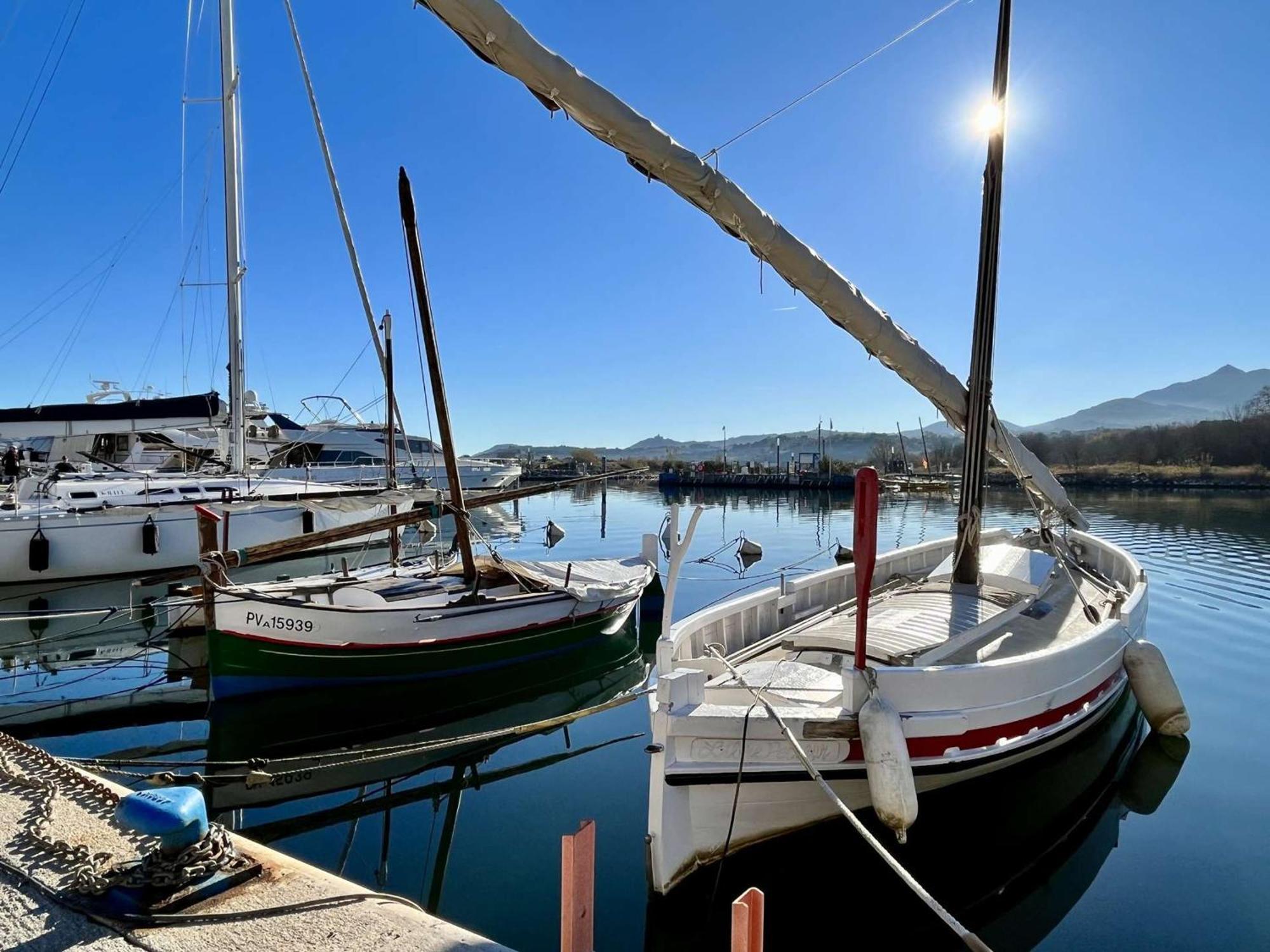 Appartement 2 Pieces, Balcon, Proche Plage Et Commerces, Quartier Calme - Argeles-Sur-Mer - Fr-1-225-685 Eksteriør bilde